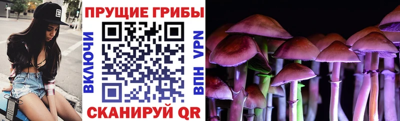 где можно купить   Алейск  Псилоцибиновые грибы мухоморы 